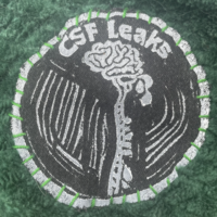 CSF Leaks Patch