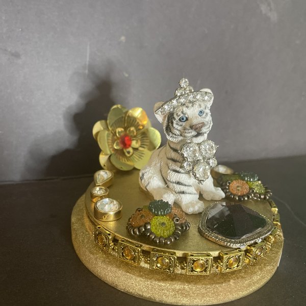 Fancy Baby Tiger Assemblage
